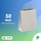 Amiff Silver Shopping Bags with Handles 8 x 4.75 x 10.5 Pack of 50 Silver Gift Bags Bulk 150 GSM Silver Paper Bags with Handles Bulk Natural Silver Kraft Paper Bags Silver Paper Gift Bags Large